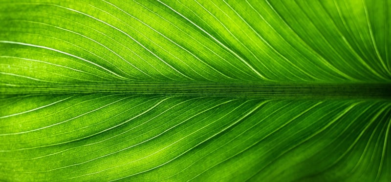 Eco-Friendly Hampers